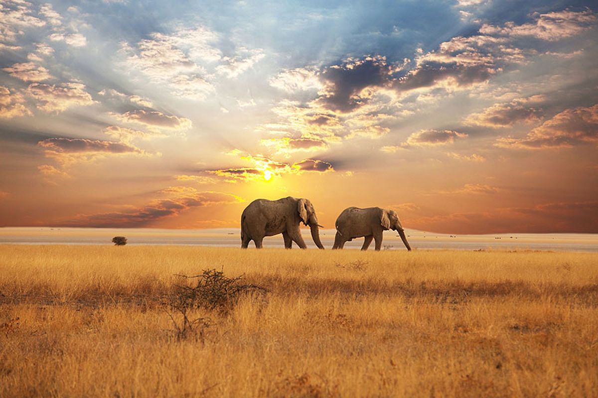 Hot air balloon ride over the Kalahari Desert